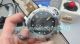 VS Swiss Clone Panerai Submersible QuarantaQuattro Navy SEALs PAM01518 44mm Watch (2)_th.jpg